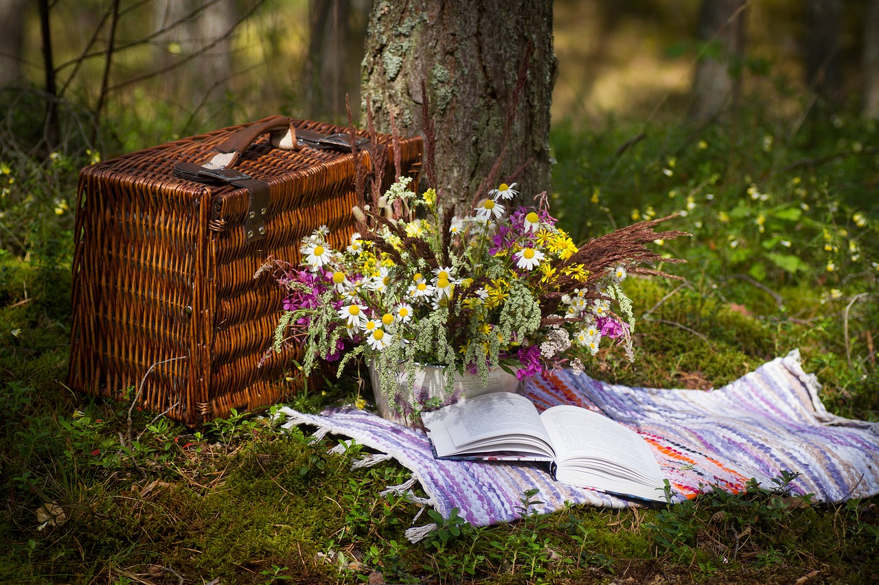 The Real Chic Picnic… Aspirations in a Hamper!